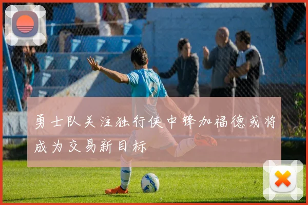勇士队关注独行侠中锋加福德或将成为交易新目标