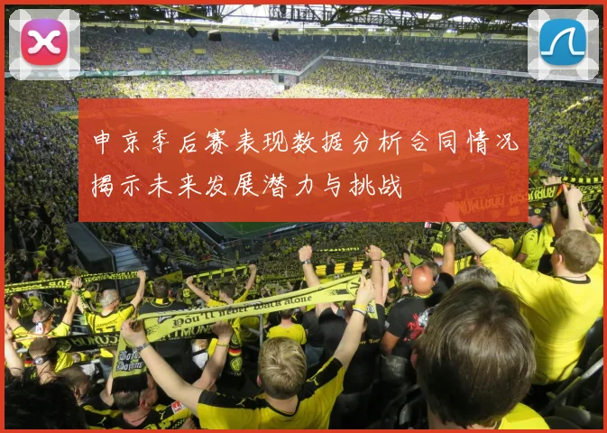 申京季后赛表现数据分析合同情况揭示未来发展潜力与挑战