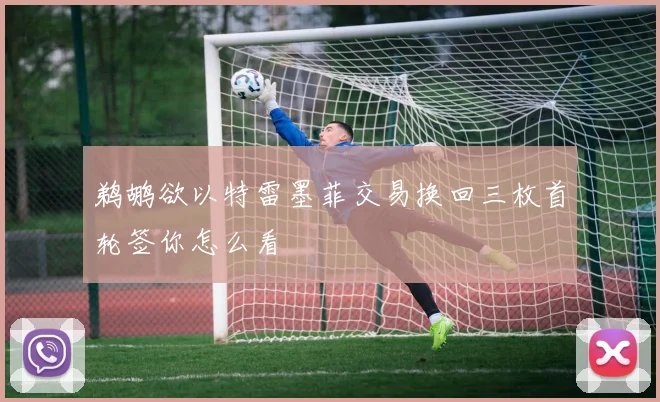 鹈鹕欲以特雷墨菲交易换回三枚首轮签你怎么看